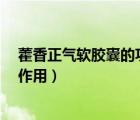 藿香正氣軟膠囊的功效與作用1（藿香正氣軟膠囊的功效與作用）