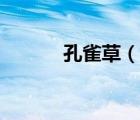 孔雀草（說一說孔雀草的簡(jiǎn)介）