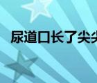 尿道口長了尖尖的肉芽（尿道口尖銳濕疣）