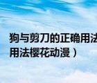 狗與剪刀的正確用法櫻花動漫12集中文版（狗與剪刀的正確用法櫻花動漫）