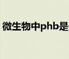 微生物中phb是什么（PHB是什么微生物學(xué)）