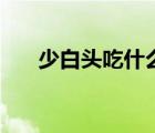 少白頭吃什么變黑（少白頭怎么變黑）