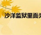 沙洋監(jiān)獄里面關(guān)的都是什么人（沙洋監(jiān)獄）