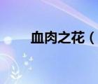 血肉之花（說一說血肉之花的簡介）