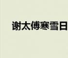 謝太傅寒雪日內(nèi)集的意思（內(nèi)集的意思）