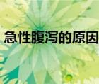 急性腹瀉的原因有哪些（腹瀉的原因有哪些）