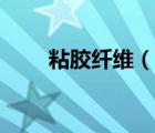 粘膠纖維（說一說粘膠纖維的簡介）