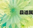 縣道屬于幾級(jí)公路（縣道）