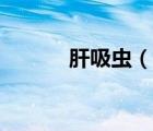 肝吸蟲(chóng)（說(shuō)一說(shuō)肝吸蟲(chóng)的簡(jiǎn)介）