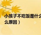 小孩子不吃飯是什么原因引起的（小孩子不吃飯?jiān)趺崔k是什么原因）