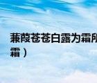 蒹葭蒼蒼白露為霜所謂伊人在水一方賞析（蒹葭蒼蒼白露為霜）