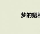 夢(mèng)的翅膀受了傷（愛(ài)的翅膀）