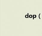 dop（說一說dop的簡介）