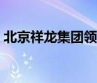 北京祥龍集團領導班子成員（北京祥龍集團）