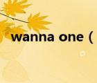 wanna one（說一說wanna one的簡介）
