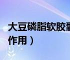 大豆磷脂軟膠囊的作用與功效（大豆的功效與作用）