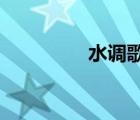 水調(diào)歌頭重上井岡山賞析