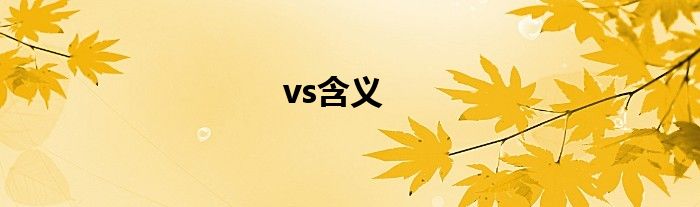 vs含義