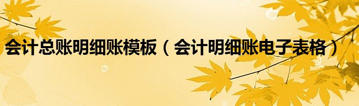 會計總賬明細賬模板（會計明細賬電子表格）