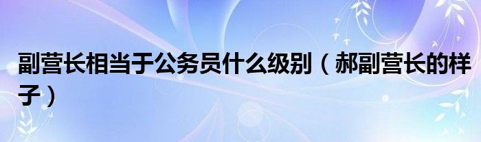 副營長相當于公務員什么級別（郝副營長的樣子）