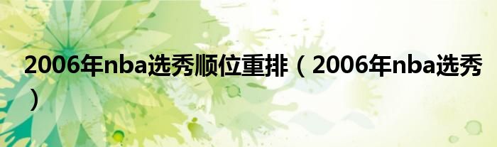 2006年nba選秀順位重排（2006年nba選秀）