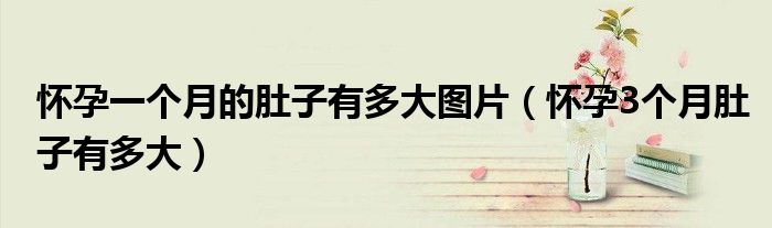 懷孕一個(gè)月的肚子有多大圖片（懷孕3個(gè)月肚子有多大）