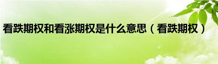 看跌期權(quán)和看漲期權(quán)是什么意思（看跌期權(quán)）