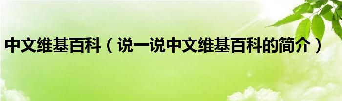 中文維基百科（說一說中文維基百科的簡介）