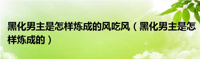 黑化男主是怎樣煉成的風吃風（黑化男主是怎樣煉成的）