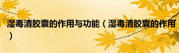 濕毒清膠囊的作用與功能（濕毒清膠囊的作用）