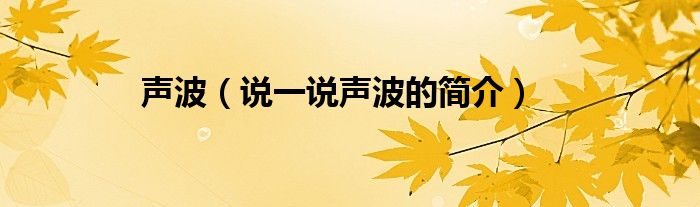 聲波（說一說聲波的簡介）