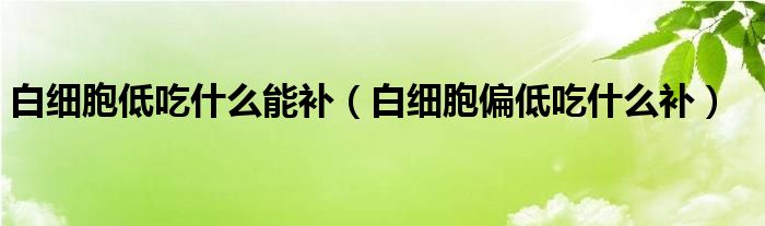 白細胞低吃什么能補（白細胞偏低吃什么補）