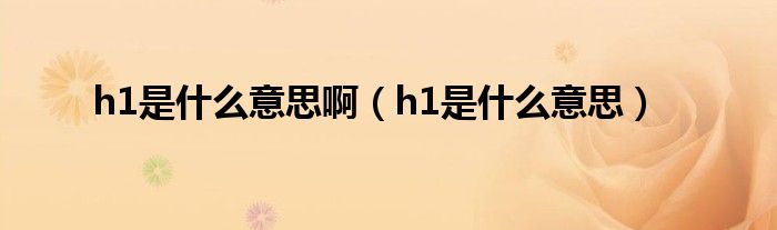 h1是什么意思?。╤1是什么意思）