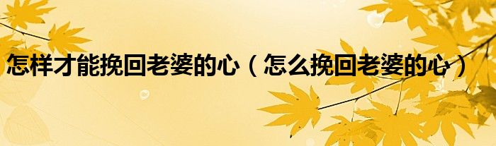 怎樣才能挽回老婆的心（怎么挽回老婆的心）