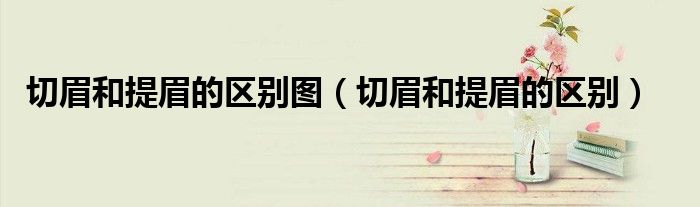 切眉和提眉的區(qū)別圖（切眉和提眉的區(qū)別）