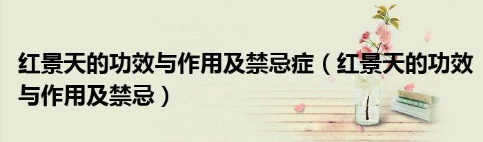 紅景天的功效與作用及禁忌癥（紅景天的功效與作用及禁忌）