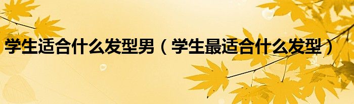 學(xué)生適合什么發(fā)型男（學(xué)生最適合什么發(fā)型）