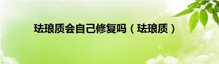 琺瑯質會自己修復嗎（琺瑯質）