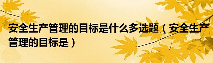 安全生產(chǎn)管理的目標(biāo)是什么多選題（安全生產(chǎn)管理的目標(biāo)是）