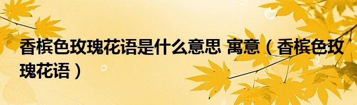 香檳色玫瑰花語(yǔ)是什么意思 寓意（香檳色玫瑰花語(yǔ)）
