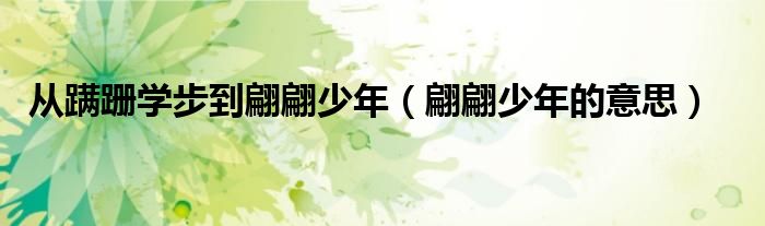 從蹣跚學(xué)步到翩翩少年（翩翩少年的意思）