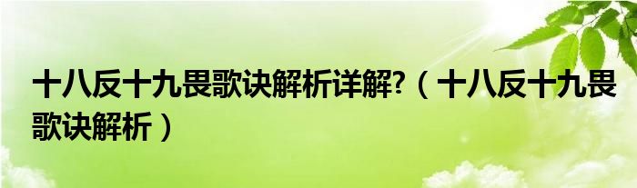 十八反十九畏歌訣解析詳解?（十八反十九畏歌訣解析）