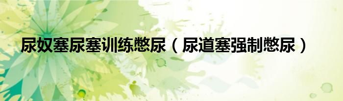 尿奴塞尿塞訓(xùn)練憋尿（尿道塞強(qiáng)制憋尿）