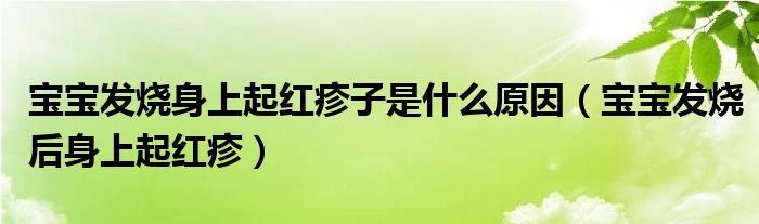 寶寶發(fā)燒身上起紅疹子是什么原因（寶寶發(fā)燒后身上起紅疹）