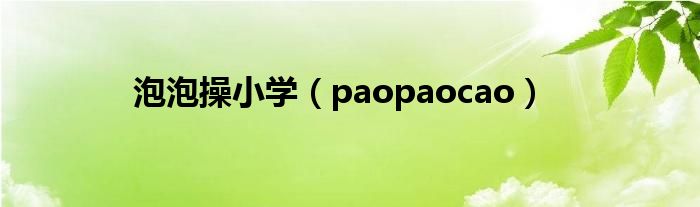 泡泡操小學(xué)（paopaocao）