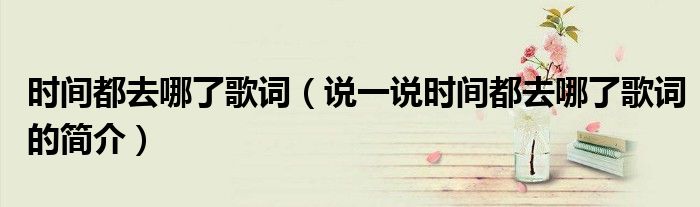 時間都去哪了歌詞（說一說時間都去哪了歌詞的簡介）