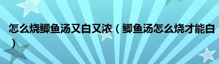 怎么燒鯽魚湯又白又濃（鯽魚湯怎么燒才能白）
