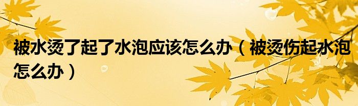 被水燙了起了水泡應(yīng)該怎么辦（被燙傷起水泡怎么辦）
