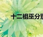 十二祖巫分別是什么法則（十二巫祖）