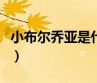 小布爾喬亞是什么意思（布爾喬亞是什么意思）